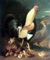 unknow artist Cock hen and chicken Norge oil painting art